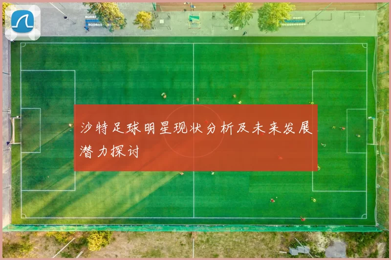 沙特足球明星现状分析及未来发展潜力探讨