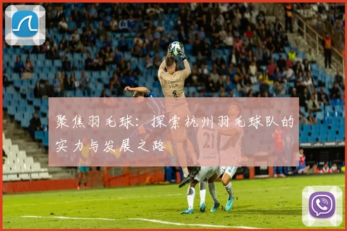 聚焦羽毛球：探索杭州羽毛球队的实力与发展之路