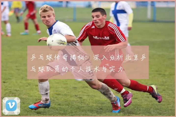 乒乓球传奇揭秘：深入分析北京乒乓球队员的个人技术与实力