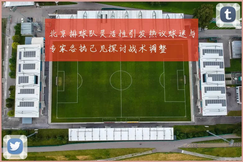 北京排球队灵活性引发热议球迷与专家各执己见探讨战术调整