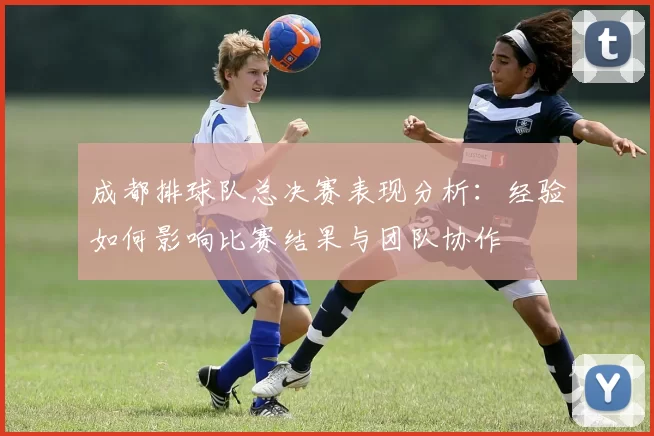 成都排球队总决赛表现分析：经验如何影响比赛结果与团队协作