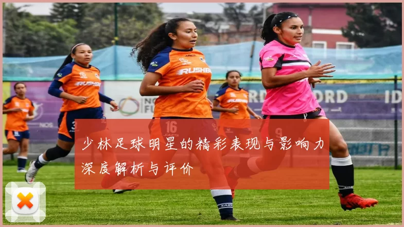 少林足球明星的精彩表现与影响力深度解析与评价