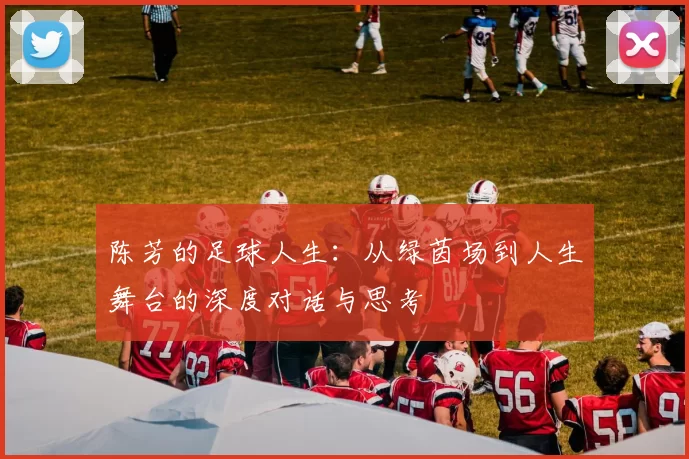 陈芳的足球人生：从绿茵场到人生舞台的深度对话与思考