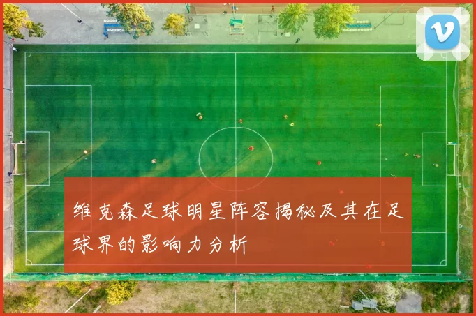 维克森足球明星阵容揭秘及其在足球界的影响力分析