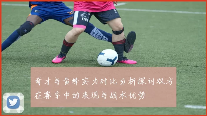 奇才与黄蜂实力对比分析探讨双方在赛季中的表现与战术优势