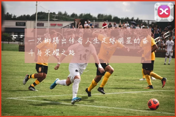 一只脚踢出传奇人生足球明星的奋斗与荣耀之路
