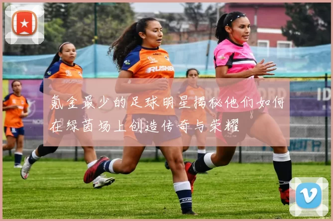 氪金最少的足球明星揭秘他们如何在绿茵场上创造传奇与荣耀
