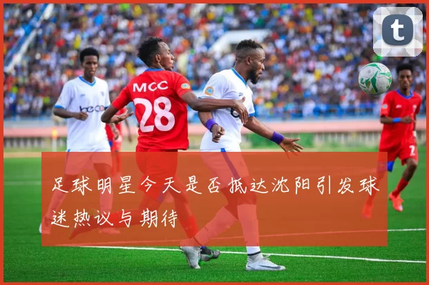 足球明星今天是否抵达沈阳引发球迷热议与期待