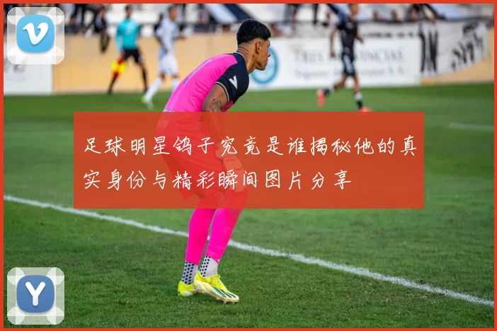足球明星鸽子究竟是谁揭秘他的真实身份与精彩瞬间图片分享