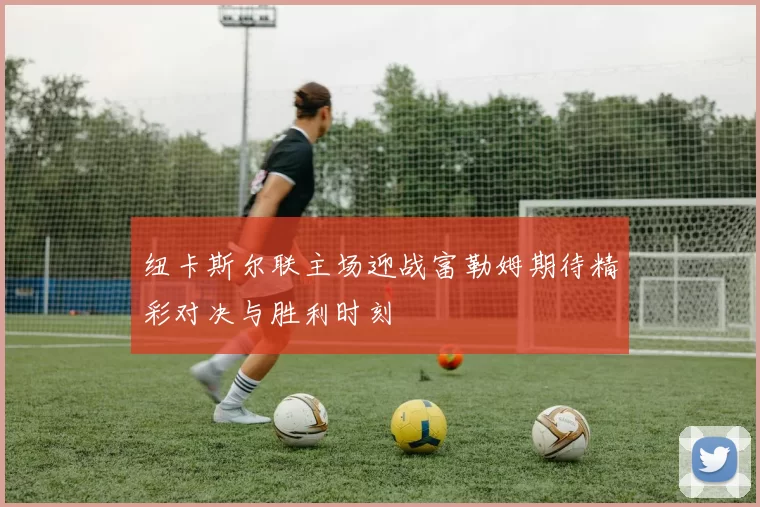 纽卡斯尔联主场迎战富勒姆期待精彩对决与胜利时刻