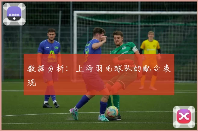 数据分析：上海羽毛球队的配合表现