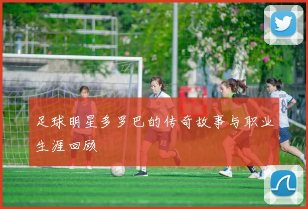 足球明星多罗巴的传奇故事与职业生涯回顾