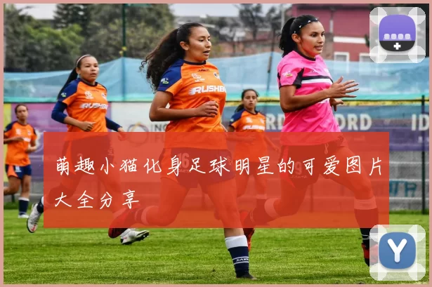 萌趣小猫化身足球明星的可爱图片大全分享