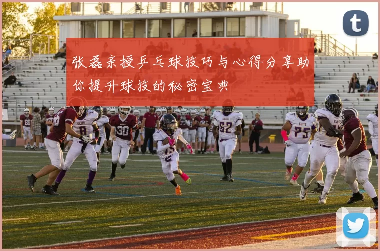 张磊亲授乒乓球技巧与心得分享助你提升球技的秘密宝典